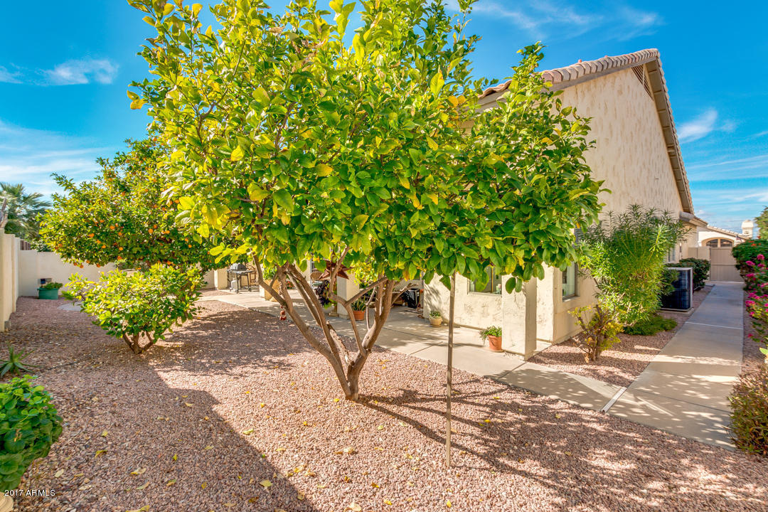 6461 E Star Valley St, Mesa, AZ 85215 photo 29
