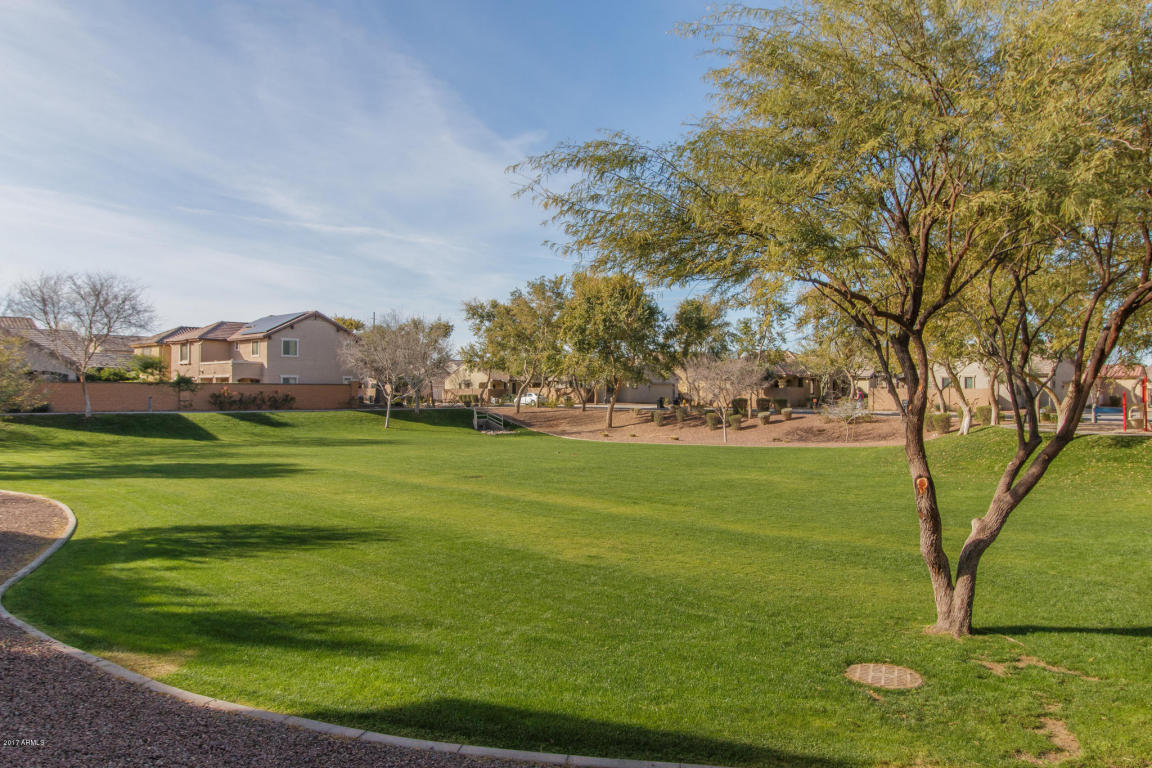 2516 E Boston St, Gilbert, AZ 85295 photo 26