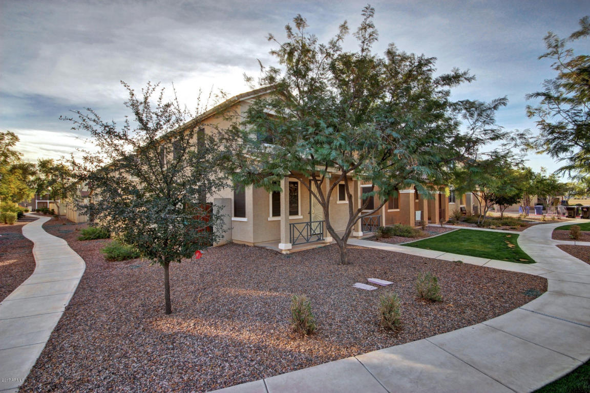 1694 Elgin St, Gilbert, AZ 85295 photo 3