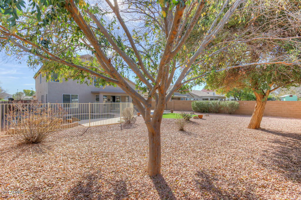 126 E Gail Dr, Gilbert, AZ 85296 photo 55