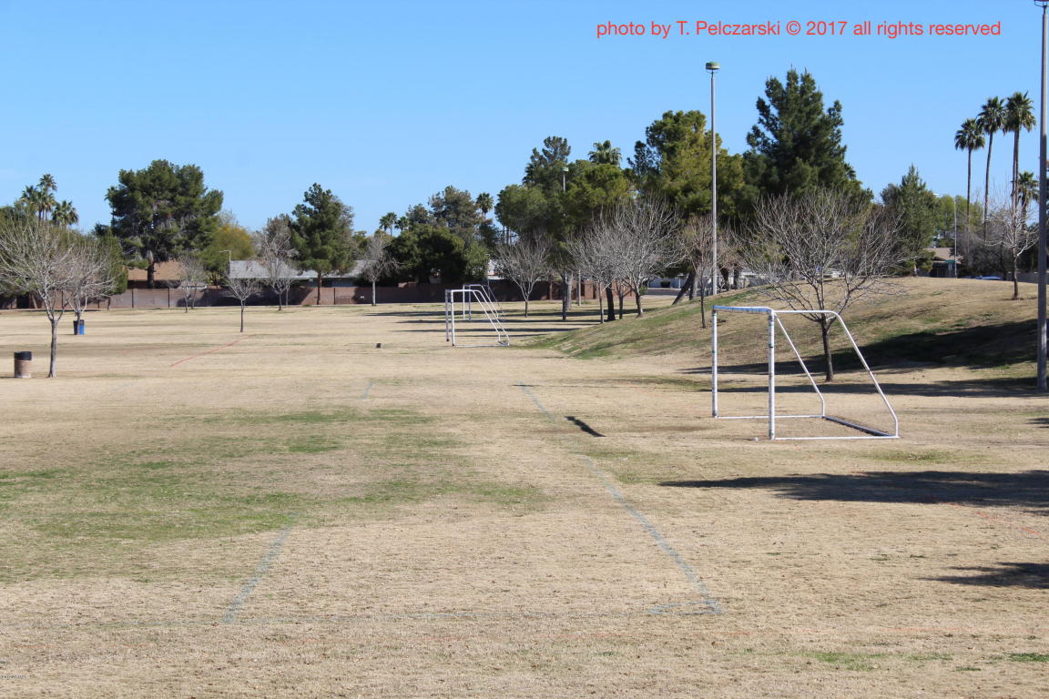 520 E Westchester Dr, Tempe, AZ 85283 photo 34