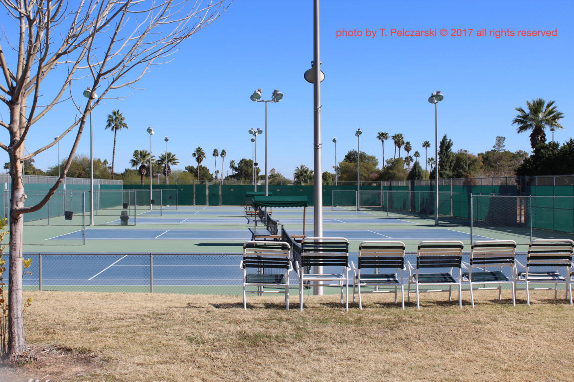 520 E Westchester Dr, Tempe, AZ 85283 photo 30