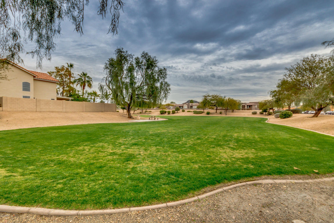 1213 E Michigan Ave, Phoenix, AZ 85022 photo 57
