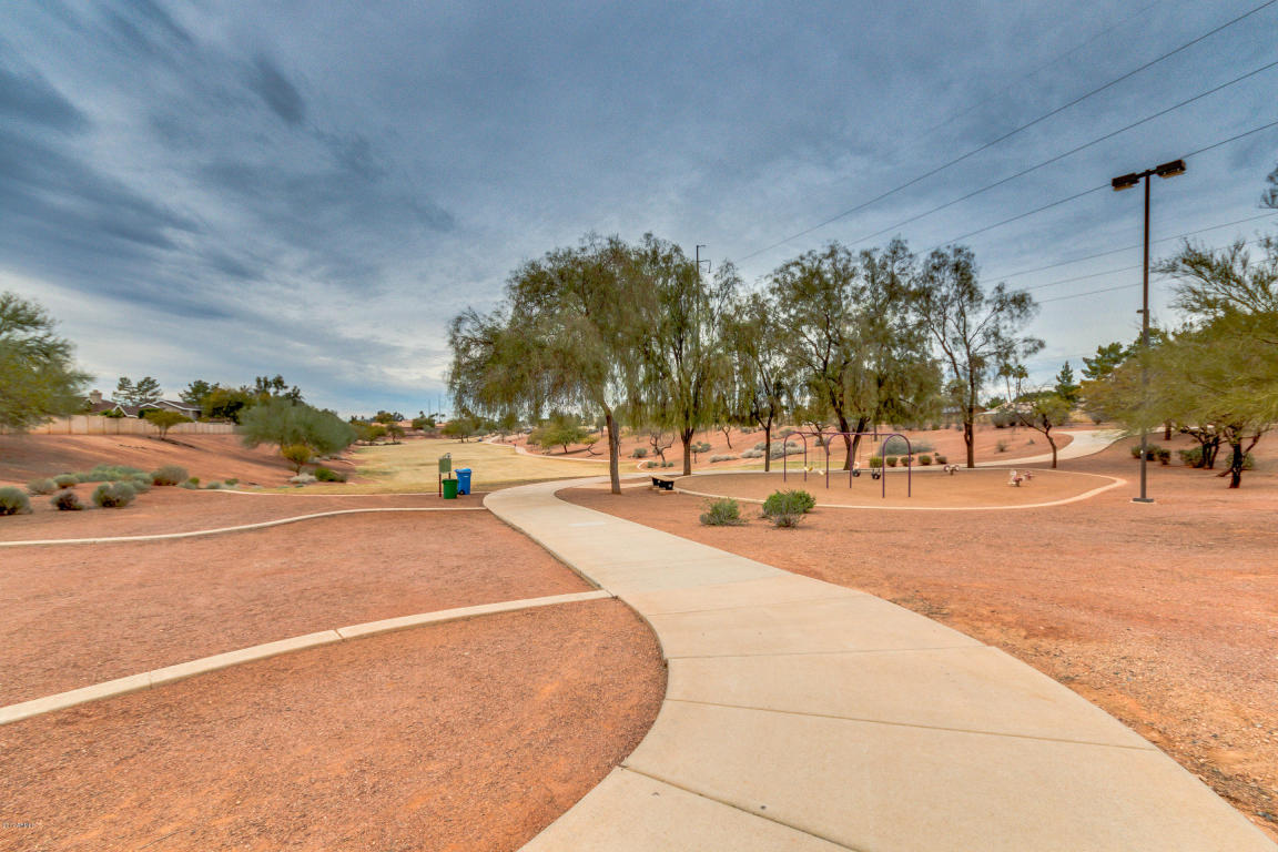 1213 E Michigan Ave, Phoenix, AZ 85022 photo 50