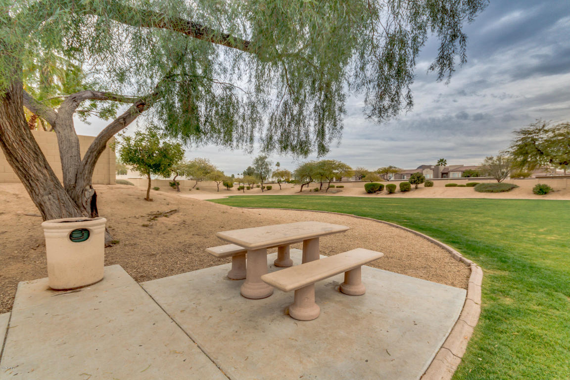 1213 E Michigan Ave, Phoenix, AZ 85022 photo 58