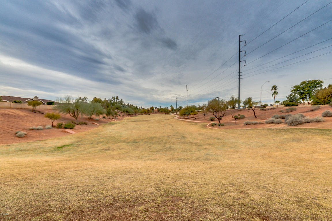 1213 E Michigan Ave, Phoenix, AZ 85022 photo 53