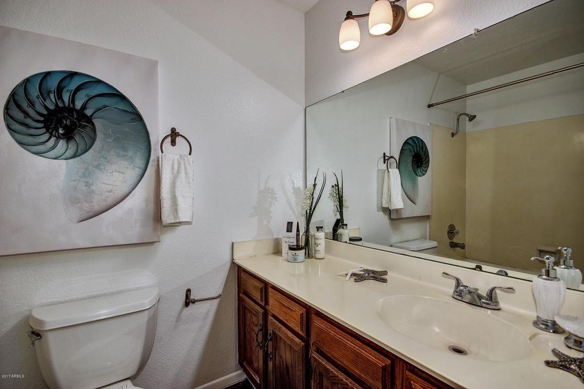 2261 E Carol Ave, Mesa, AZ 85204 photo 18