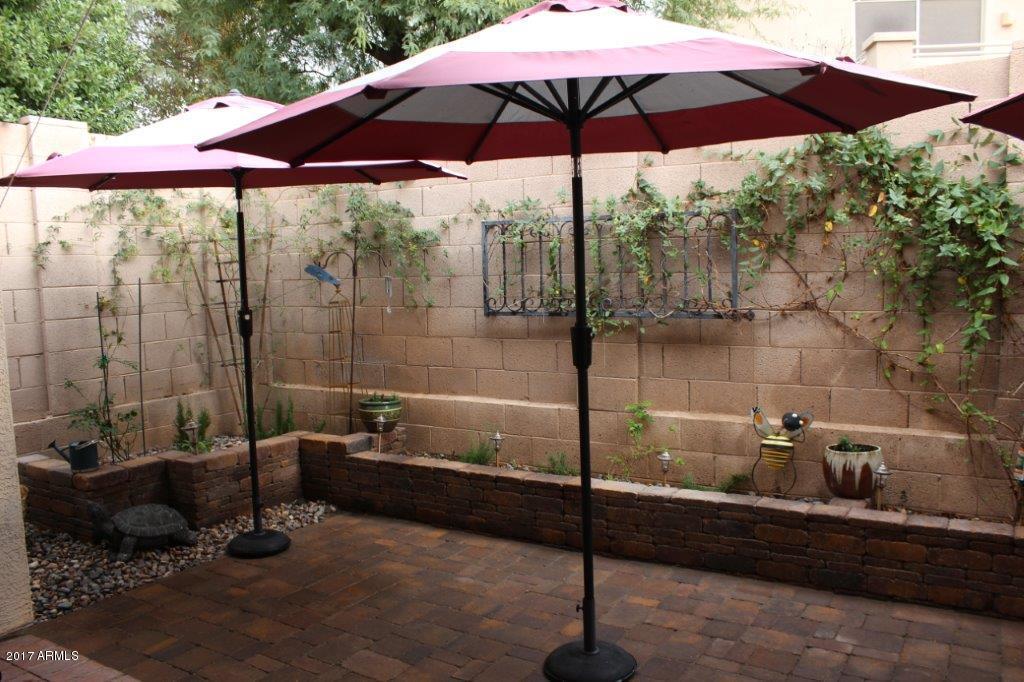 7259 E Mills St, Mesa, AZ 85207 photo 20