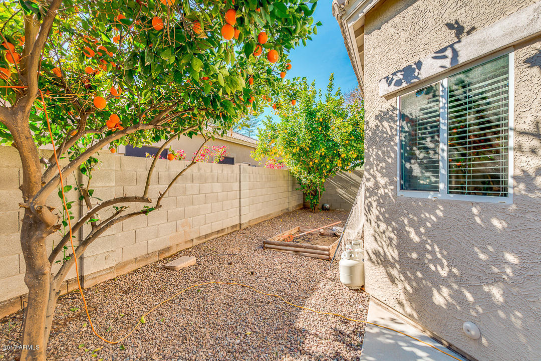 2935 S Palm St, Gilbert, AZ 85295 photo 33