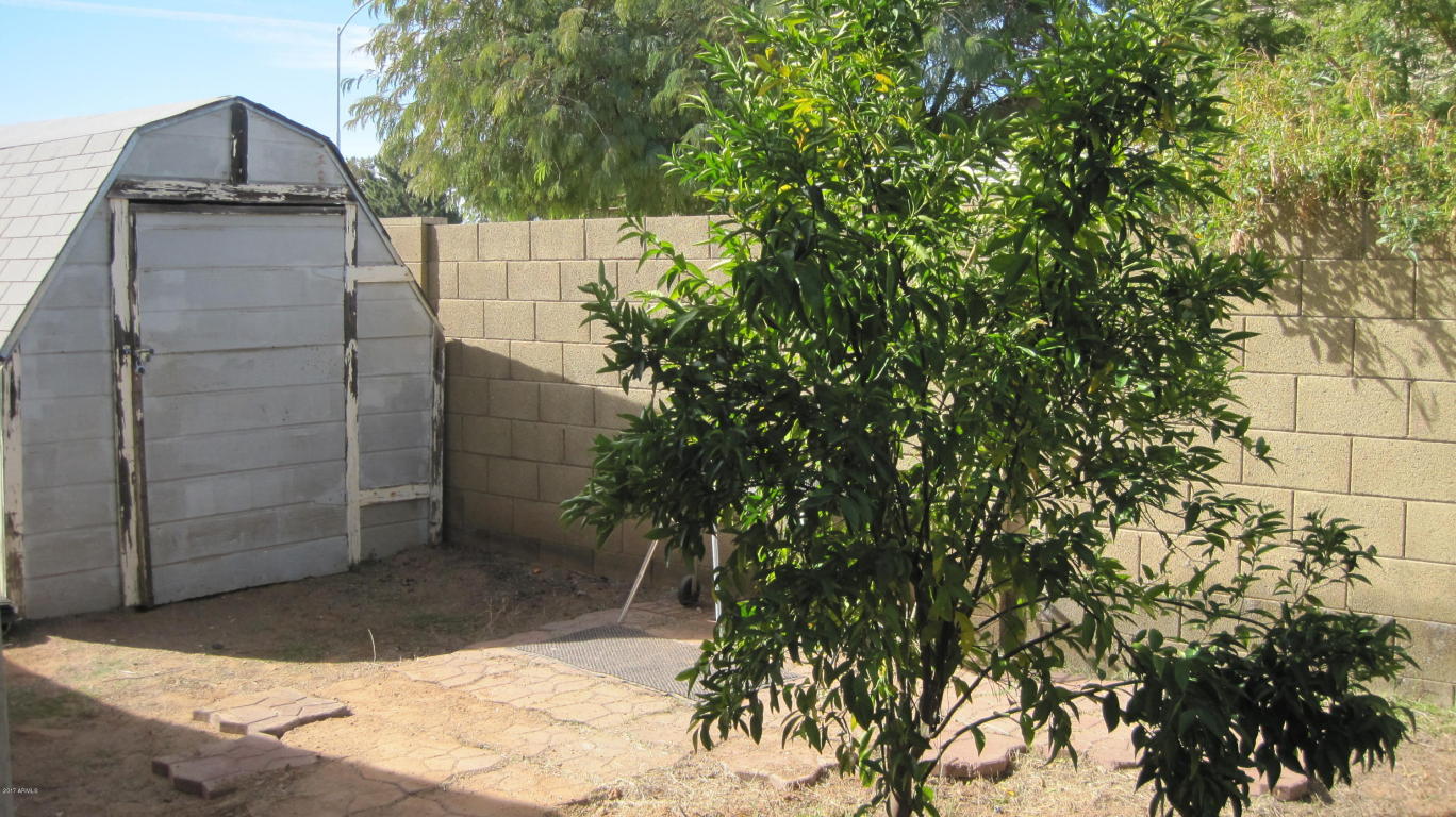 6714 E Ivyglen St, Mesa, AZ 85205 photo 48