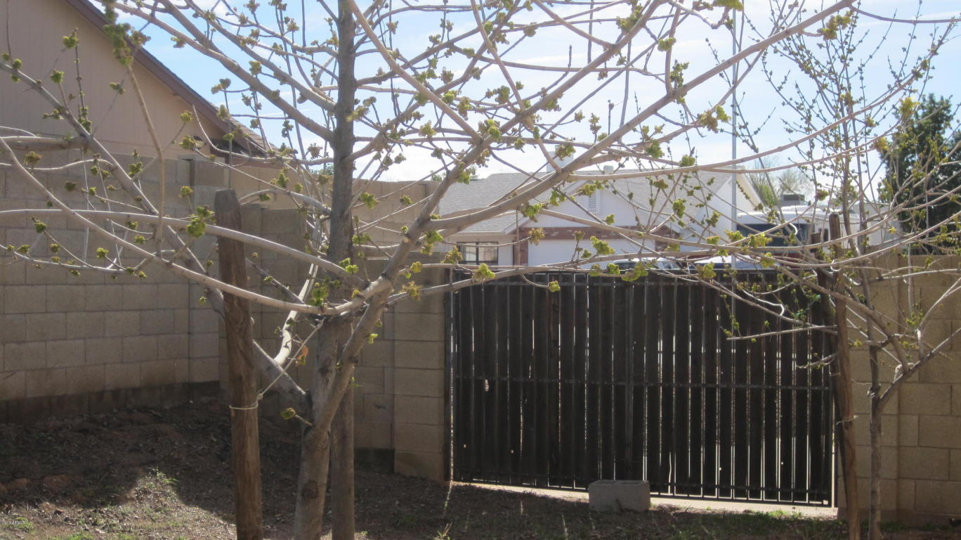 6714 E Ivyglen St, Mesa, AZ 85205 photo 53