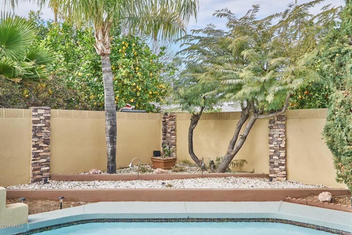 4767 E Ahwatukee Dr, Phoenix, AZ 85044 photo 33