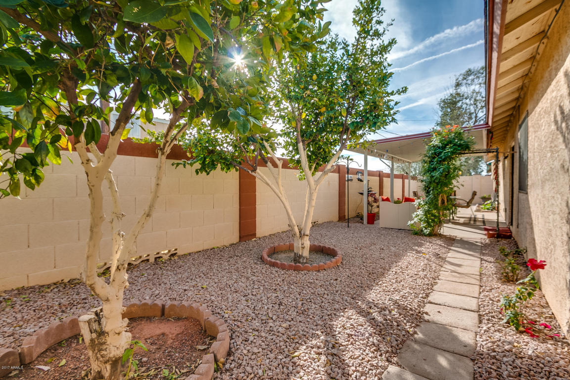 435 S Stardust Ln, Apache Junction, AZ 85120 photo 12