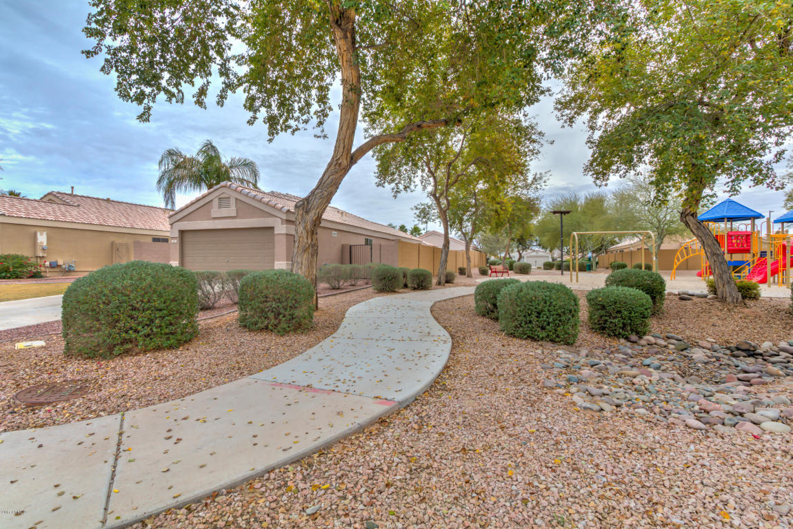 1697 E Horseshoe Ave, Gilbert, AZ 85296 photo 5