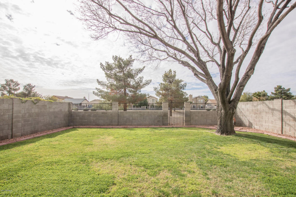 805 E Sack Dr, Phoenix, AZ 85024 photo 28