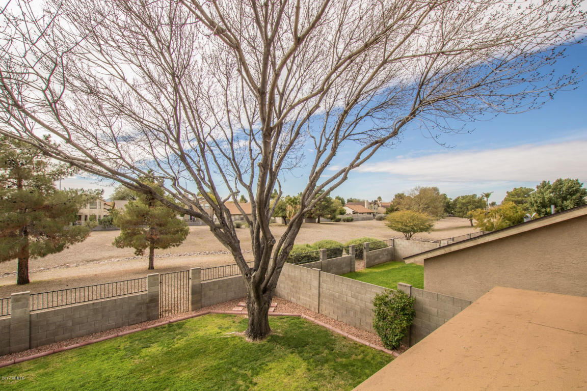 805 E Sack Dr, Phoenix, AZ 85024 photo 17