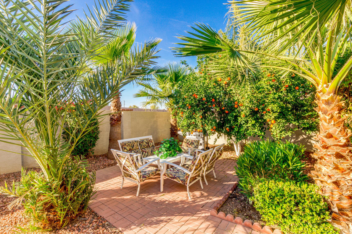 2951 E Sherri Ct, Gilbert, AZ 85296 photo 48