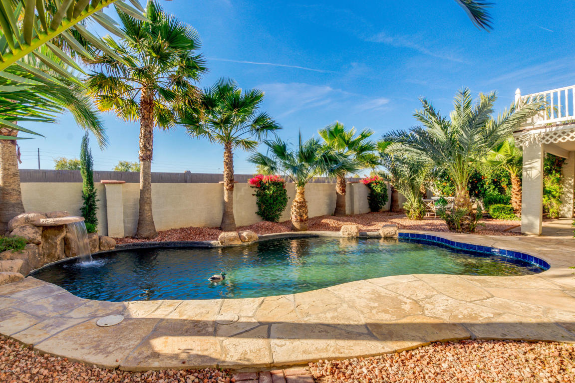 2951 E Sherri Ct, Gilbert, AZ 85296 photo 44