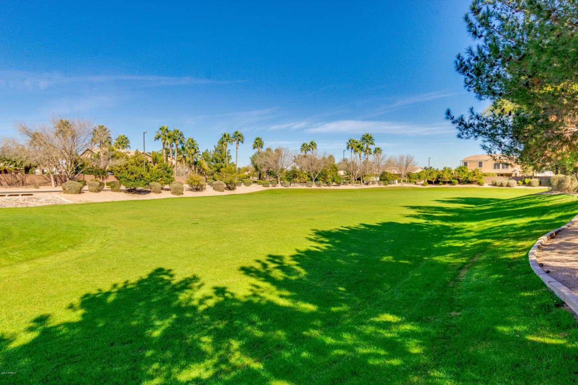 2951 E Sherri Ct, Gilbert, AZ 85296 photo 50