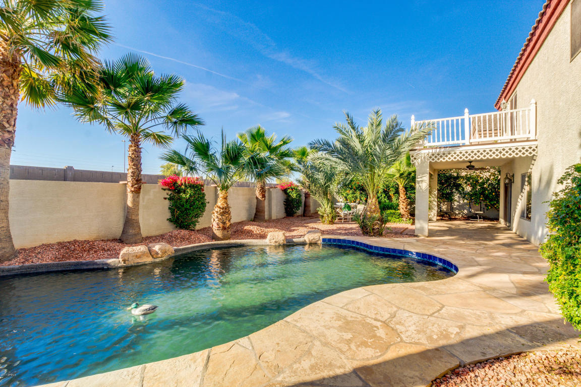2951 E Sherri Ct, Gilbert, AZ 85296 photo 45