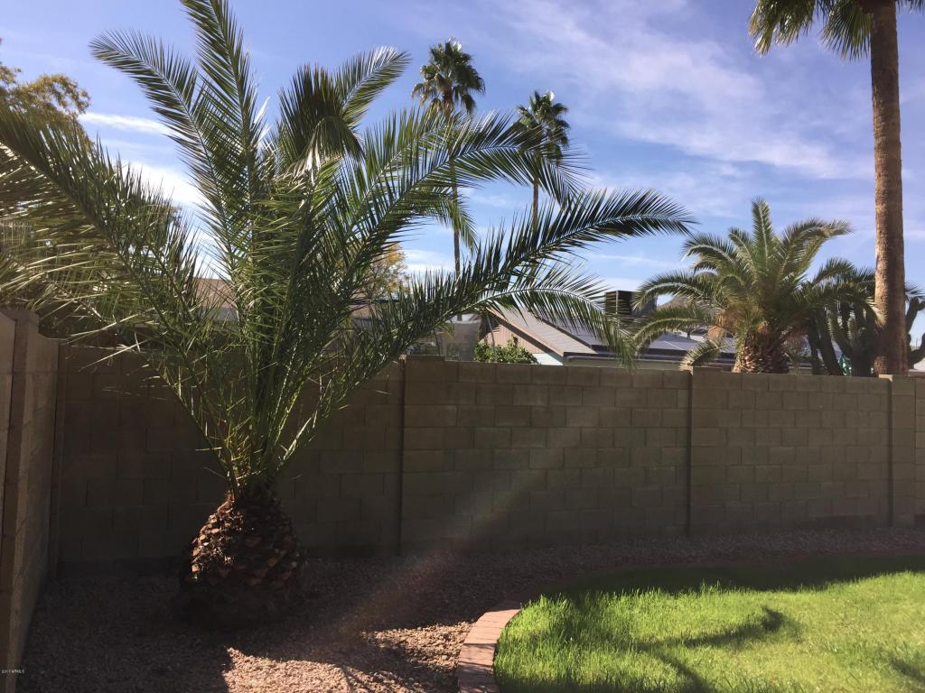 2209 E Marconi Ave, Phoenix, AZ 85022 photo 36