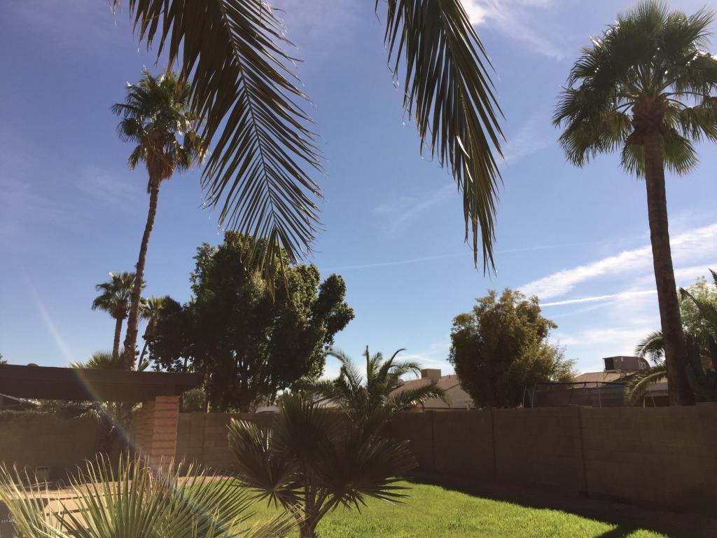 2209 E Marconi Ave, Phoenix, AZ 85022 photo 33