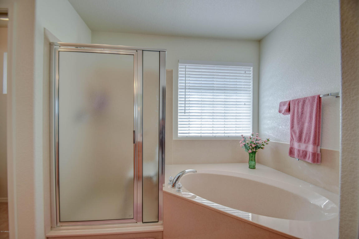 11333 E Navarro Ave, Mesa, AZ 85209 photo 27