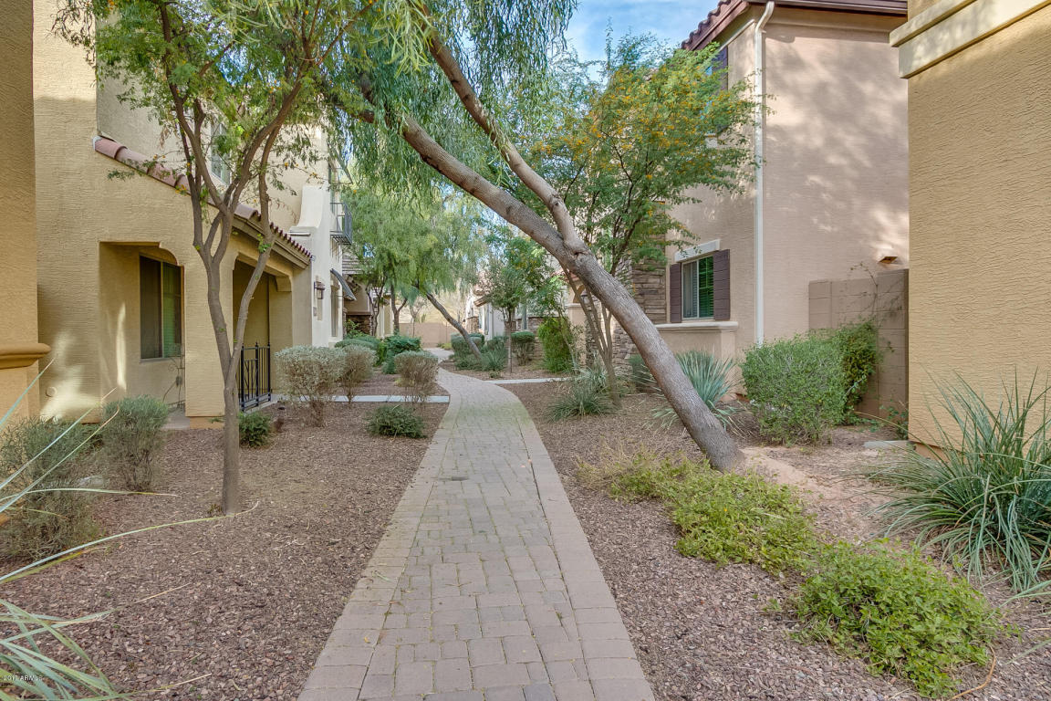 2462 E Boston St, Gilbert, AZ 85295 photo 2