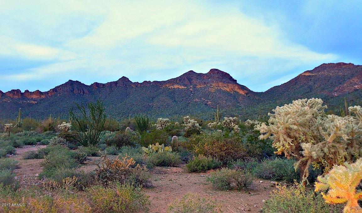 3075 W Canyon St, Apache Junction, AZ 85120 photo 40