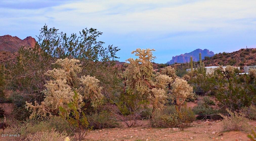 3075 W Canyon St, Apache Junction, AZ 85120 photo 39