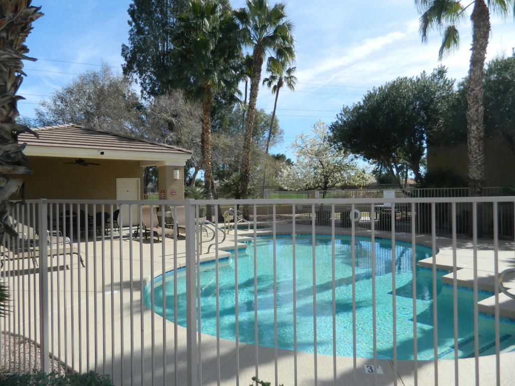 1335 E June St #235, Mesa, AZ 85203 photo 26