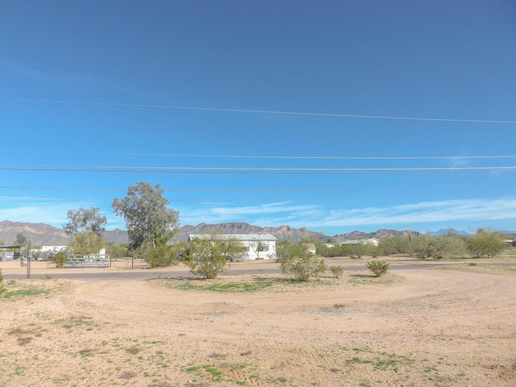 2517 W Smoketree St, Apache Junction, AZ 85120 photo 49