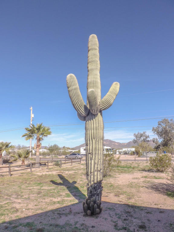 2517 W Smoketree St, Apache Junction, AZ 85120 photo 46