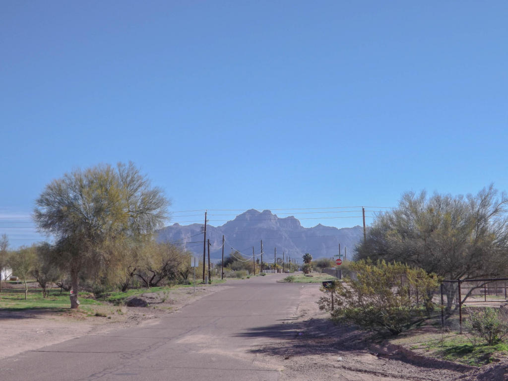 2517 W Smoketree St, Apache Junction, AZ 85120 photo 38