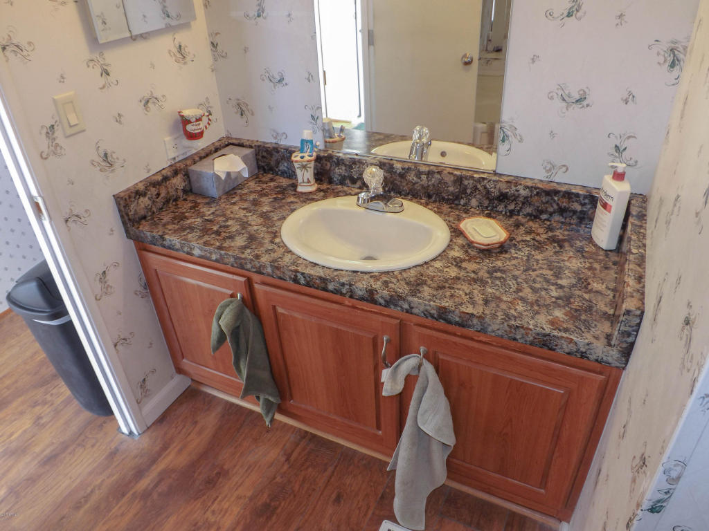 2517 W Smoketree St, Apache Junction, AZ 85120 photo 10