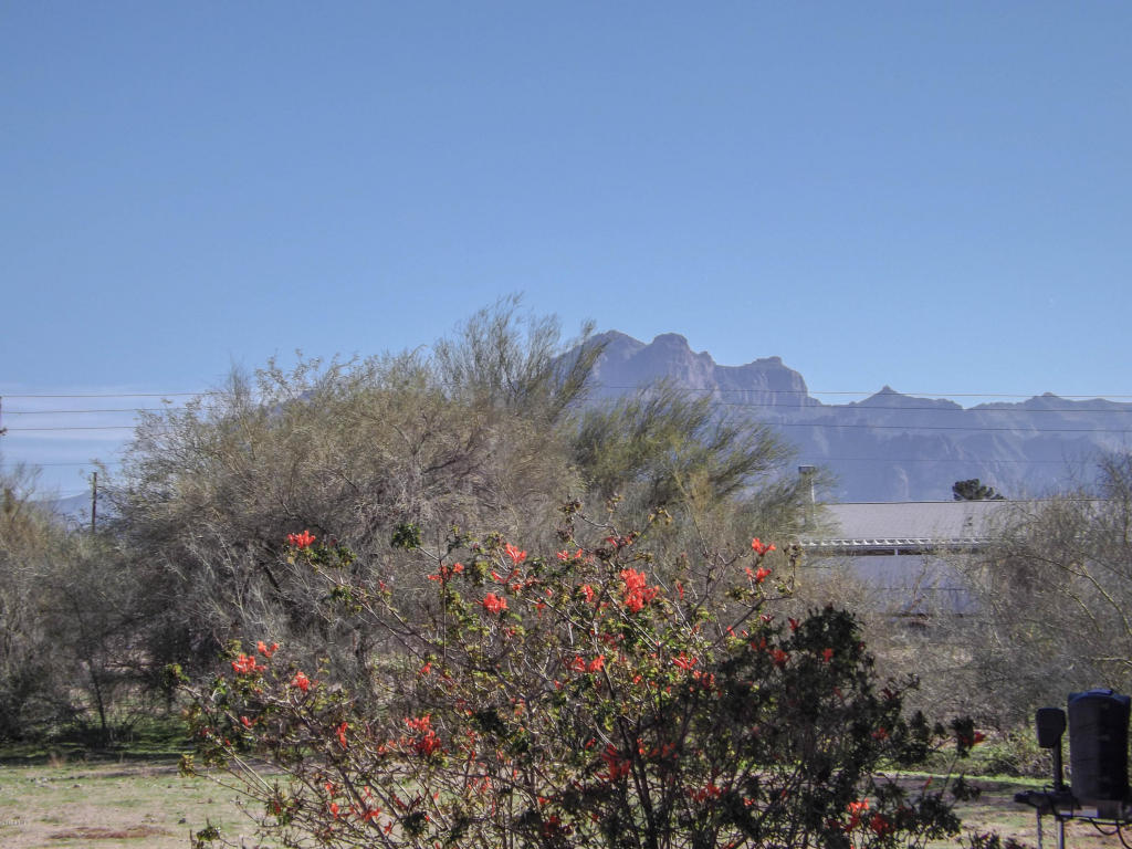 2517 W Smoketree St, Apache Junction, AZ 85120 photo 48