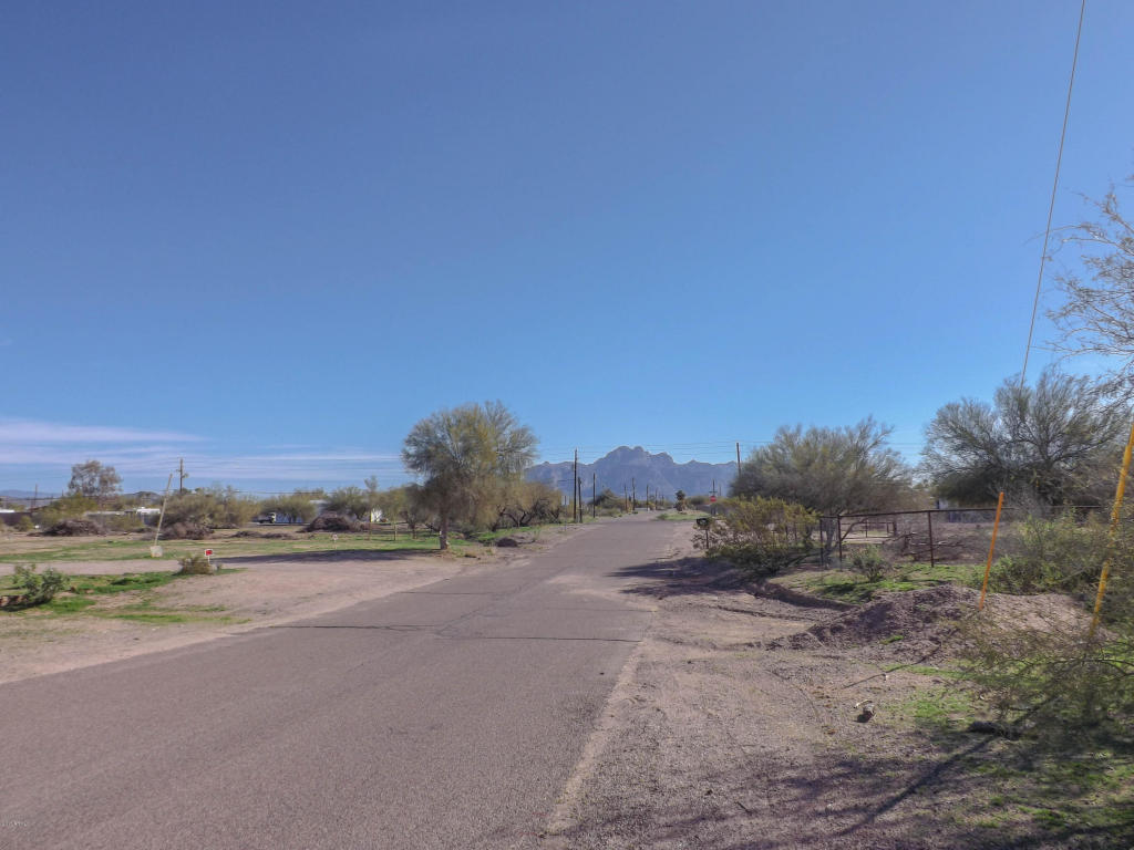 2517 W Smoketree St, Apache Junction, AZ 85120 photo 39