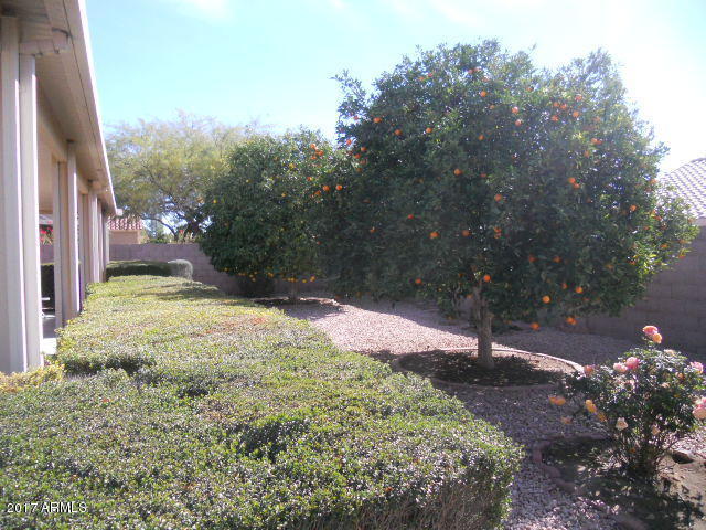 1425 E Firestone Dr, Chandler, AZ 85249 photo 36