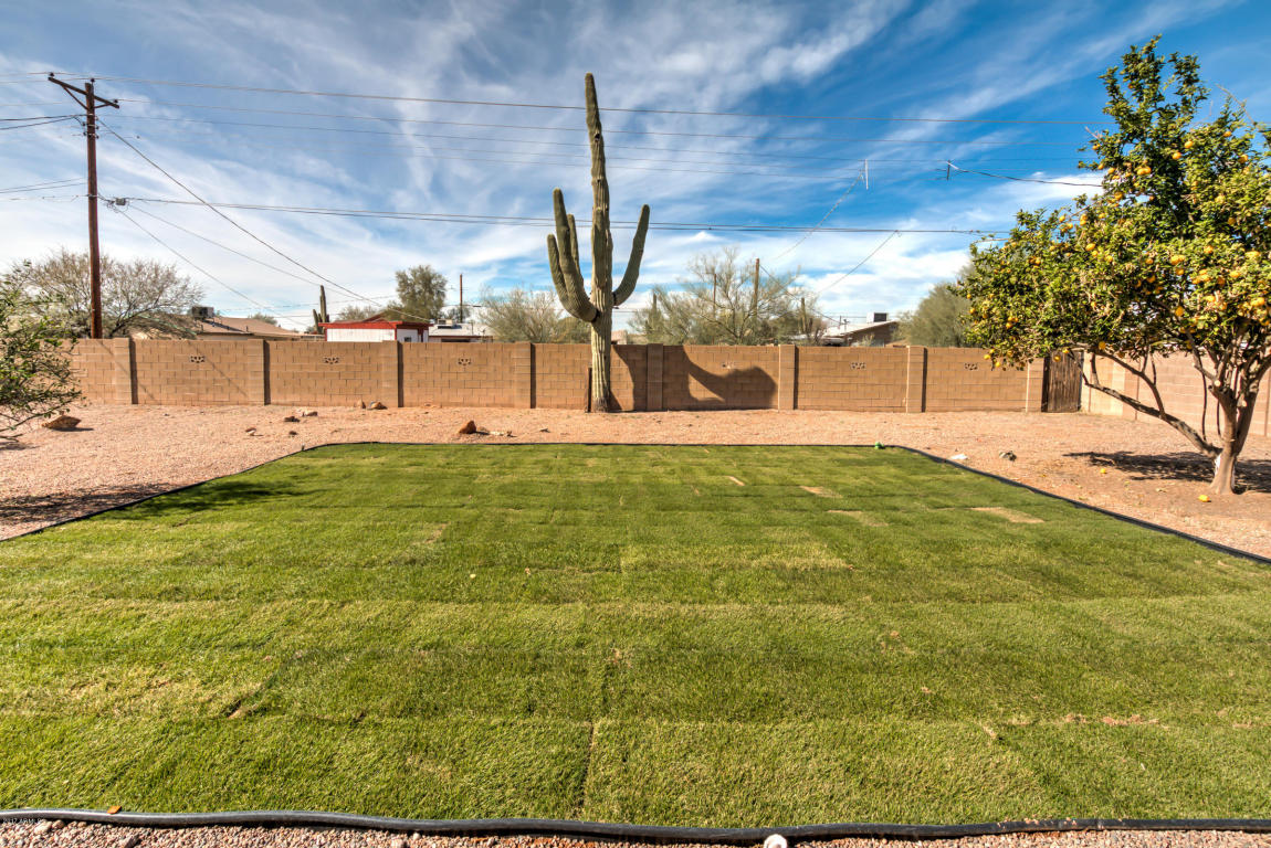 594 S Palo Verde Dr, Apache Junction, AZ 85120 photo 32
