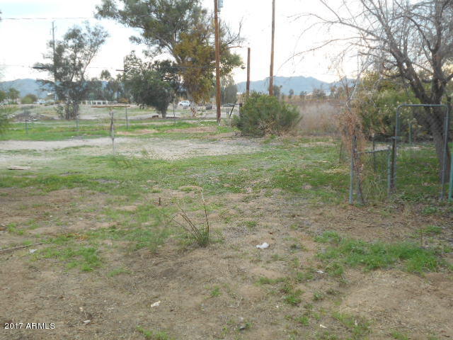 303 E Carter Rd, Phoenix, AZ 85042 photo 22