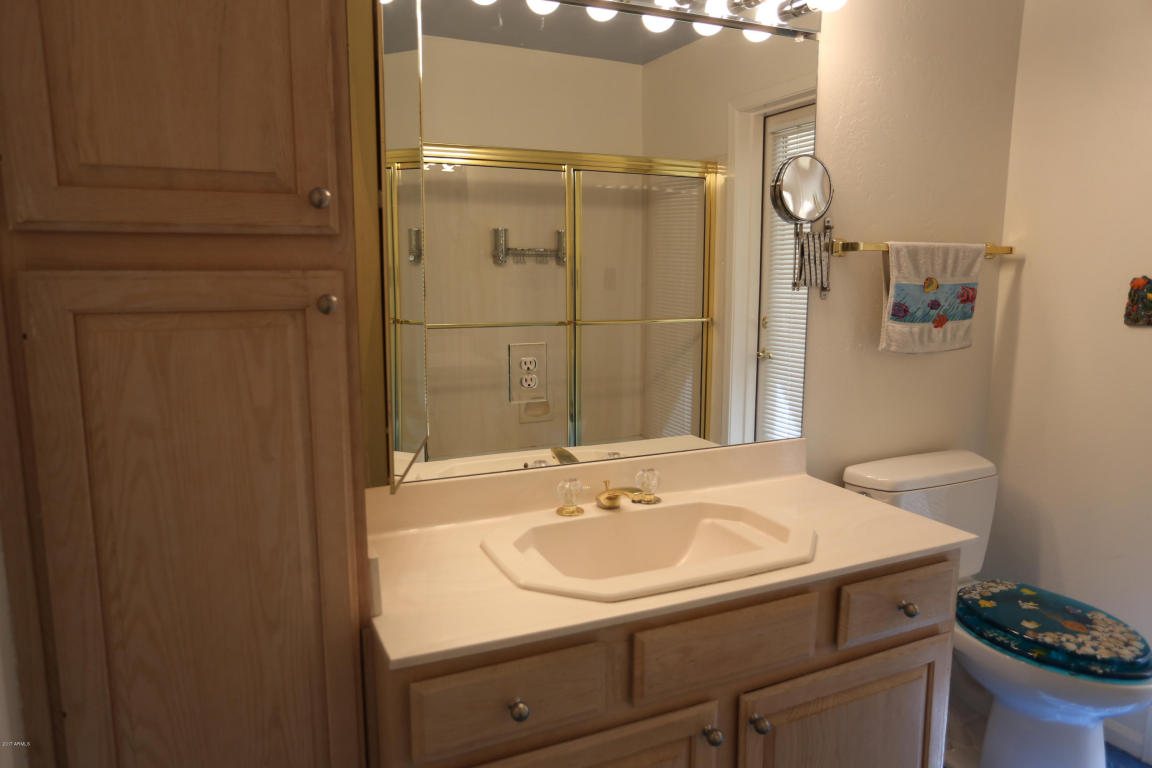 4437 Encanto Cir, Mesa, AZ 85205 photo 27