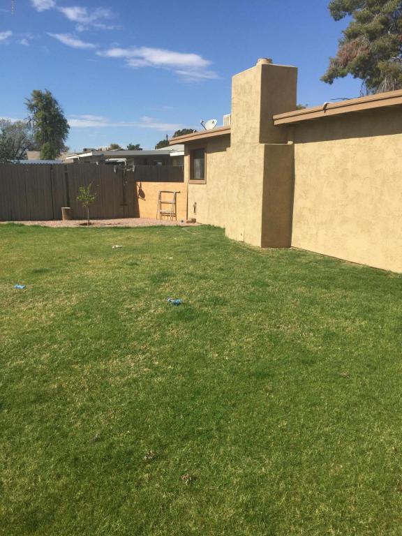 217 E Cullumber Ave, Gilbert, AZ 85234 photo 18