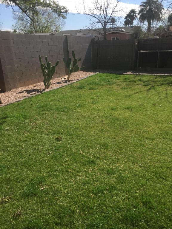 217 E Cullumber Ave, Gilbert, AZ 85234 photo 20