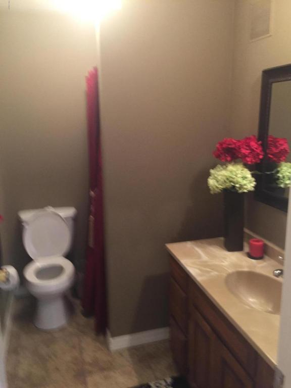 217 E Cullumber Ave, Gilbert, AZ 85234 photo 12