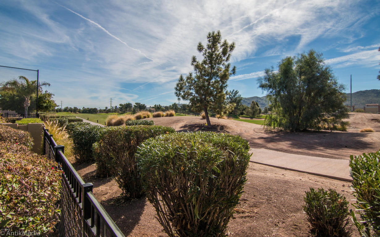 3241 E Fremont Rd, Phoenix, AZ 85042 photo 16