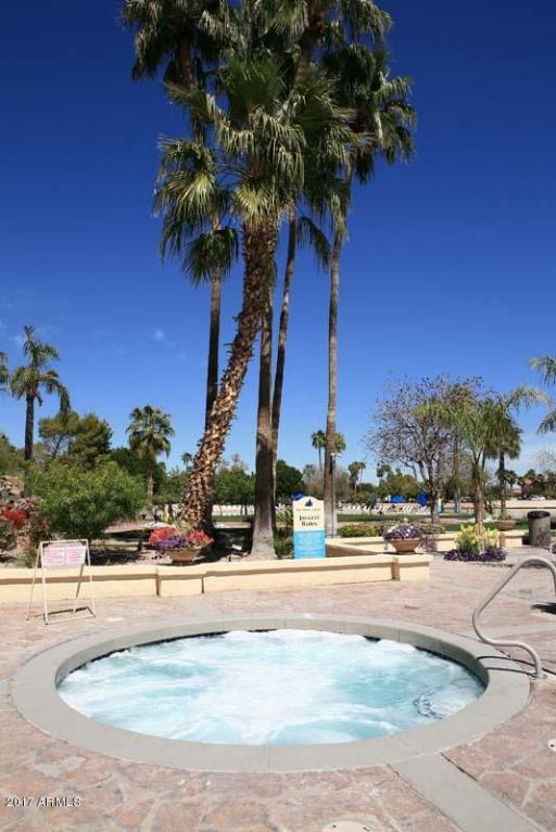 1633 E Lakeside Dr #154, Gilbert, AZ 85234 photo 35
