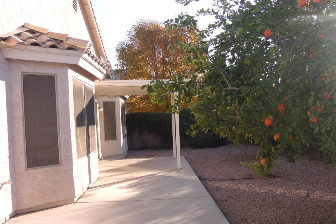 7337 E Nopal Ave, Mesa, AZ 85209 photo 5