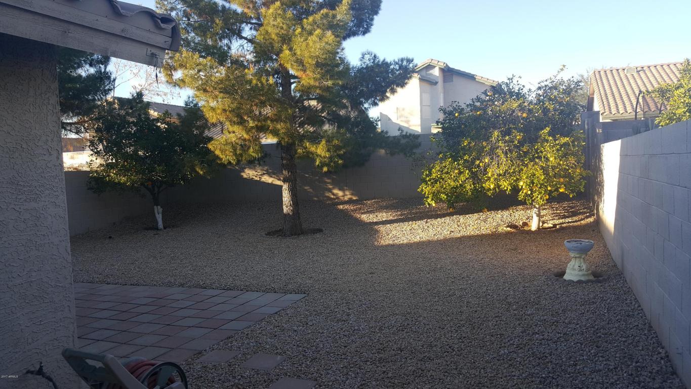 3048 E Wahalla Ln, Phoenix, AZ 85050 photo 22
