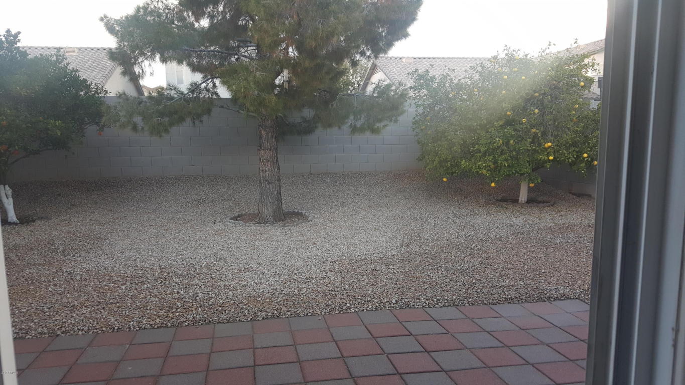 3048 E Wahalla Ln, Phoenix, AZ 85050 photo 20