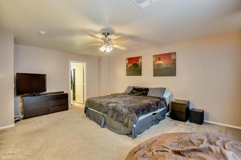 7005 S 41st Dr, Phoenix, AZ 85041 photo 19